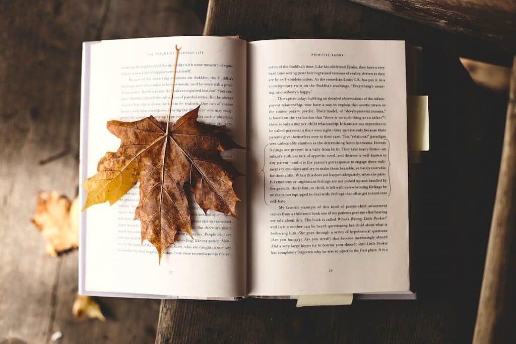 maple leaf bookmark. original public domain image from wikimedia commons