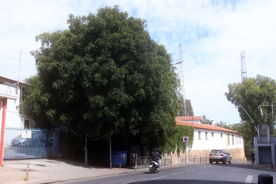 The old UN guard post with the police station opposite