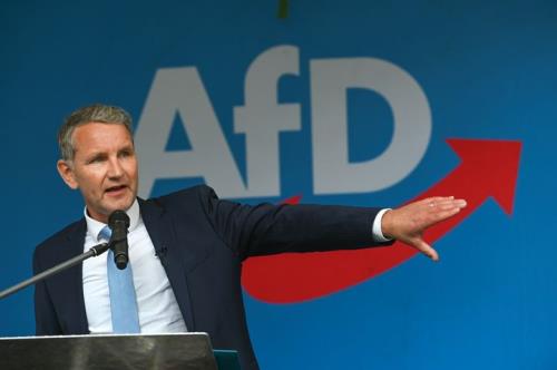 AfD far-right and neo-Nazi secret meetings scare Europe