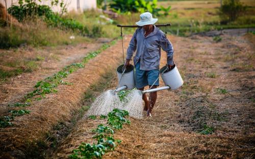 EU: The strategic dialogue on the future of the agricultural sector has started in Brussels - The aim is to find new solutions