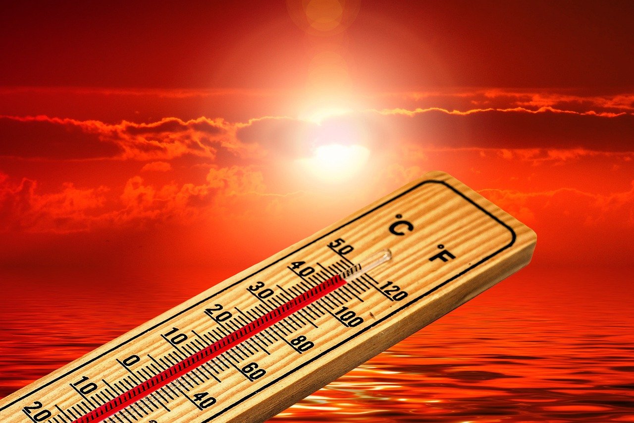 January was world, ’s warmest on record, EU scientists say