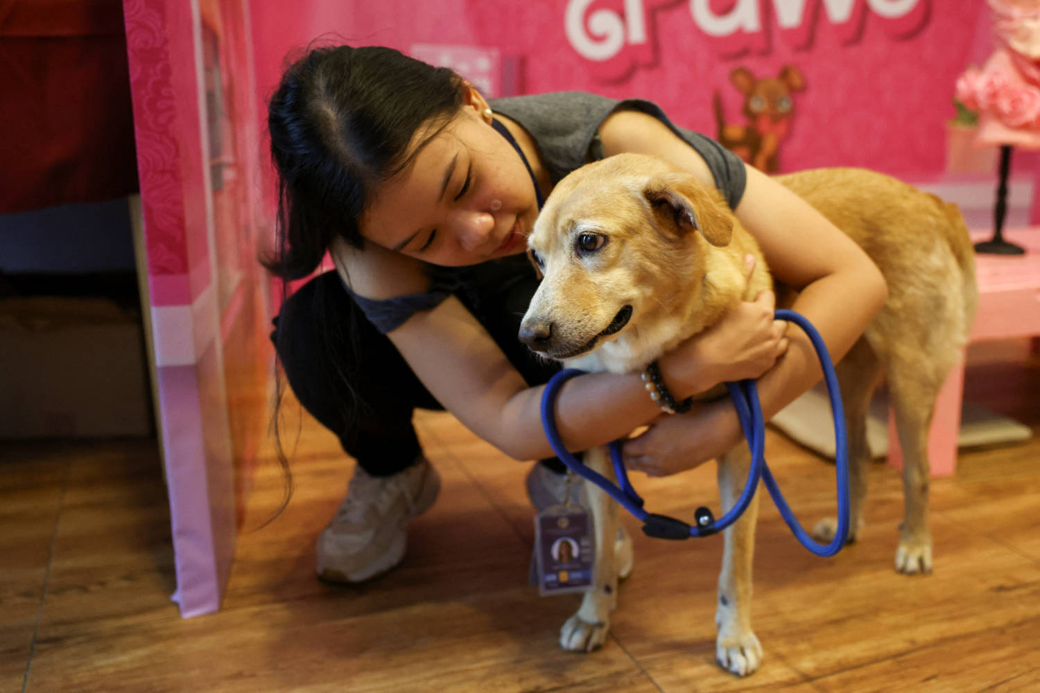 Philippine rescued pets look for love on dates this Valentine’s Day