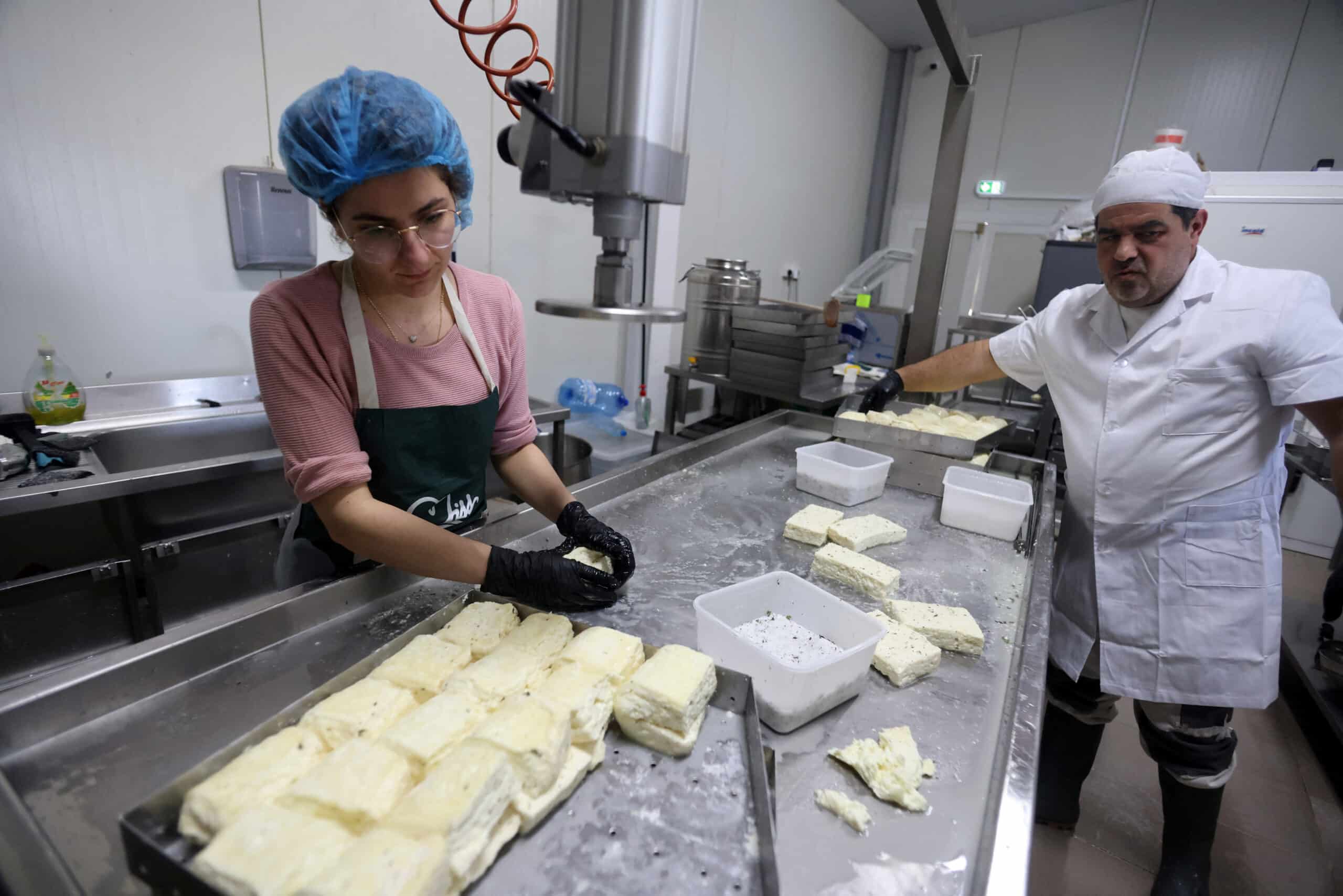 Christodoulides to meet halloumi stakeholders in April