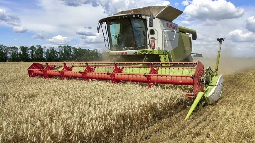 Drought devastates crops