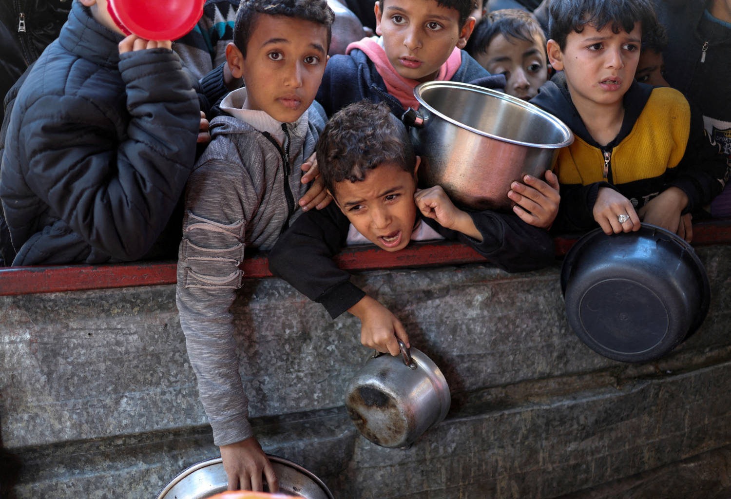Israel destroying Gaza’s food system in ‘starvation’ tactic, UN expert says