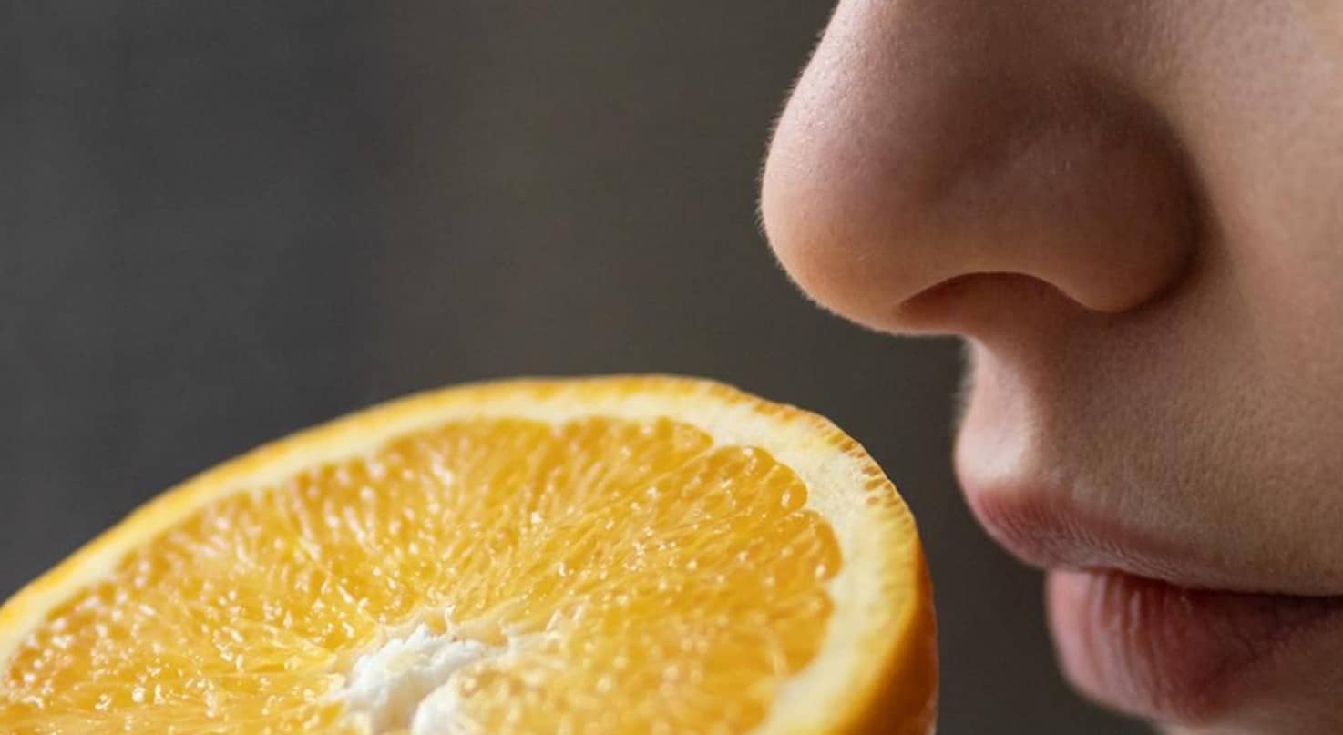 Smell trouble: the fight for the powers of the nose