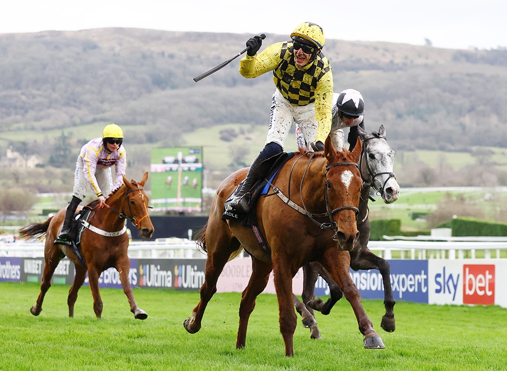 State Man wins Champions Hurdle at Cheltenham