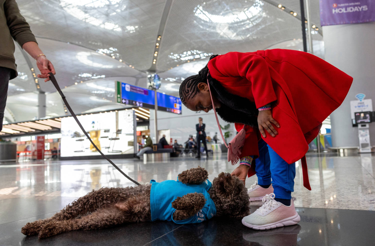 Therapy dogs comfort passengers at Istanbul Airport [PHOTOS]