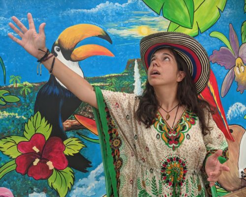 Three-act life of a professional storyteller