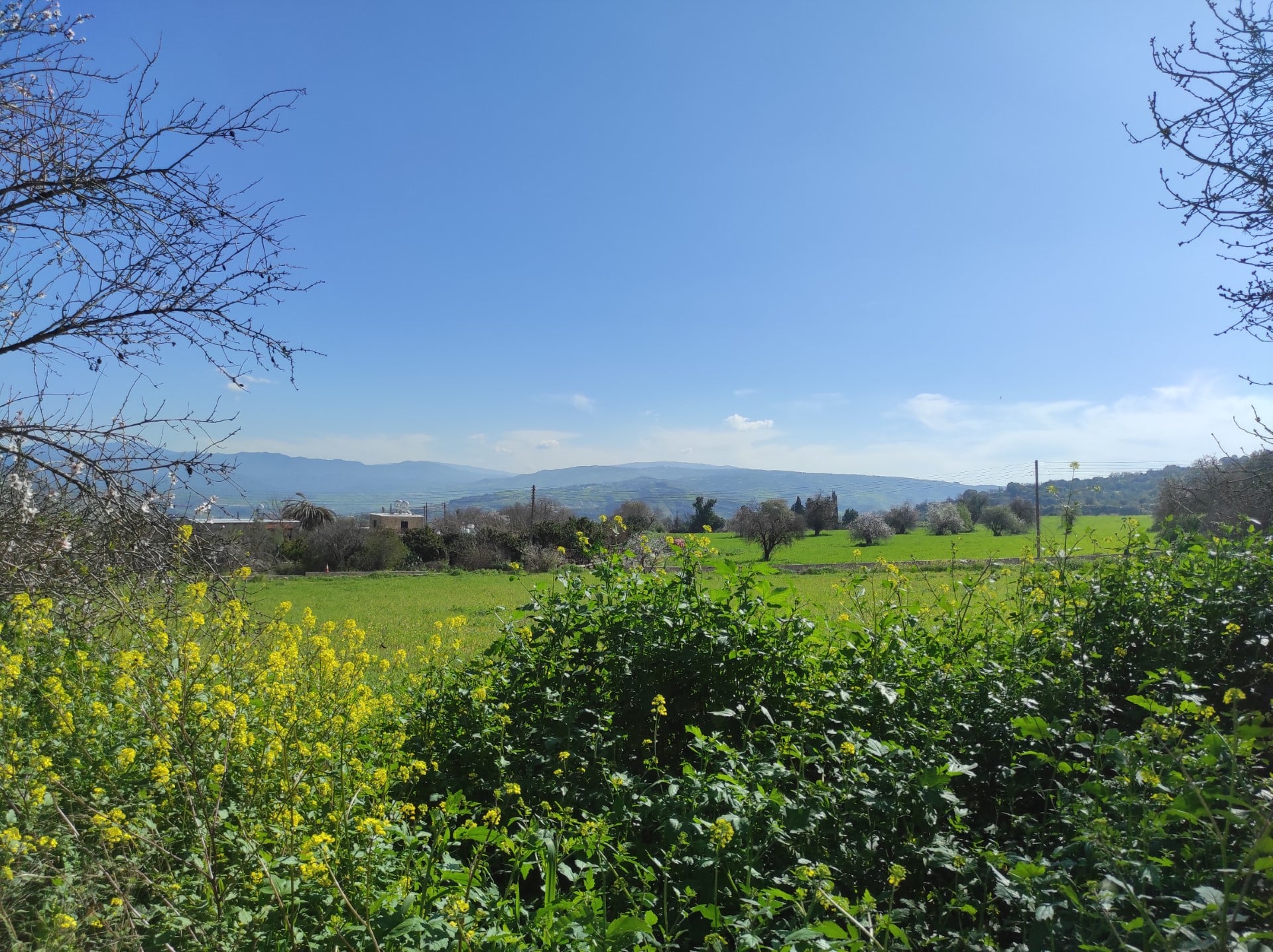 Today, ’s weather: Clear with rising temps