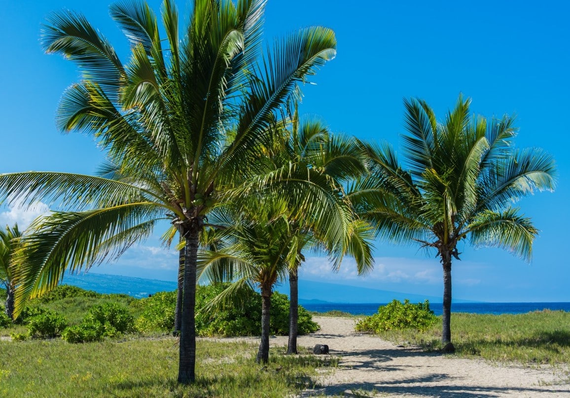 Today, ’s weather: Mostly clear