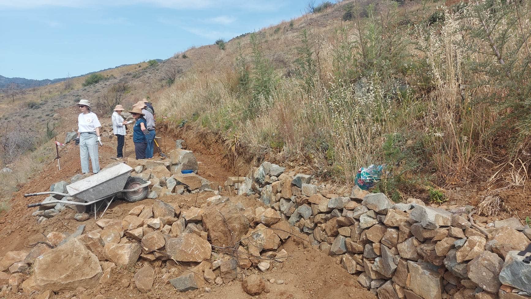 Wildfire resilience project completed