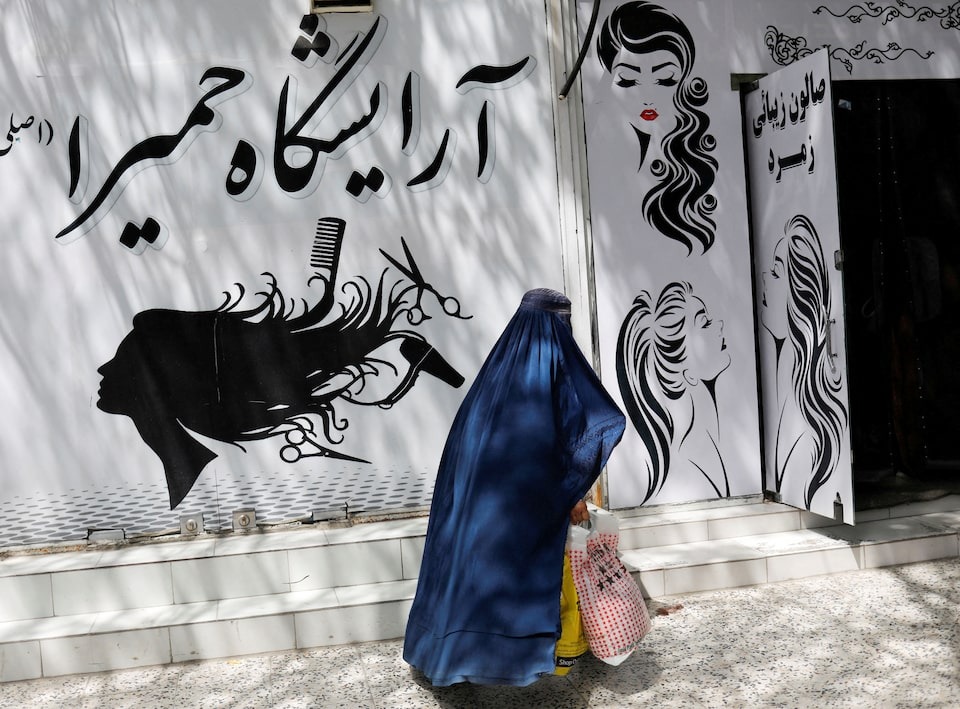 Afghan women turn to entrepreneurship but struggle to access capital