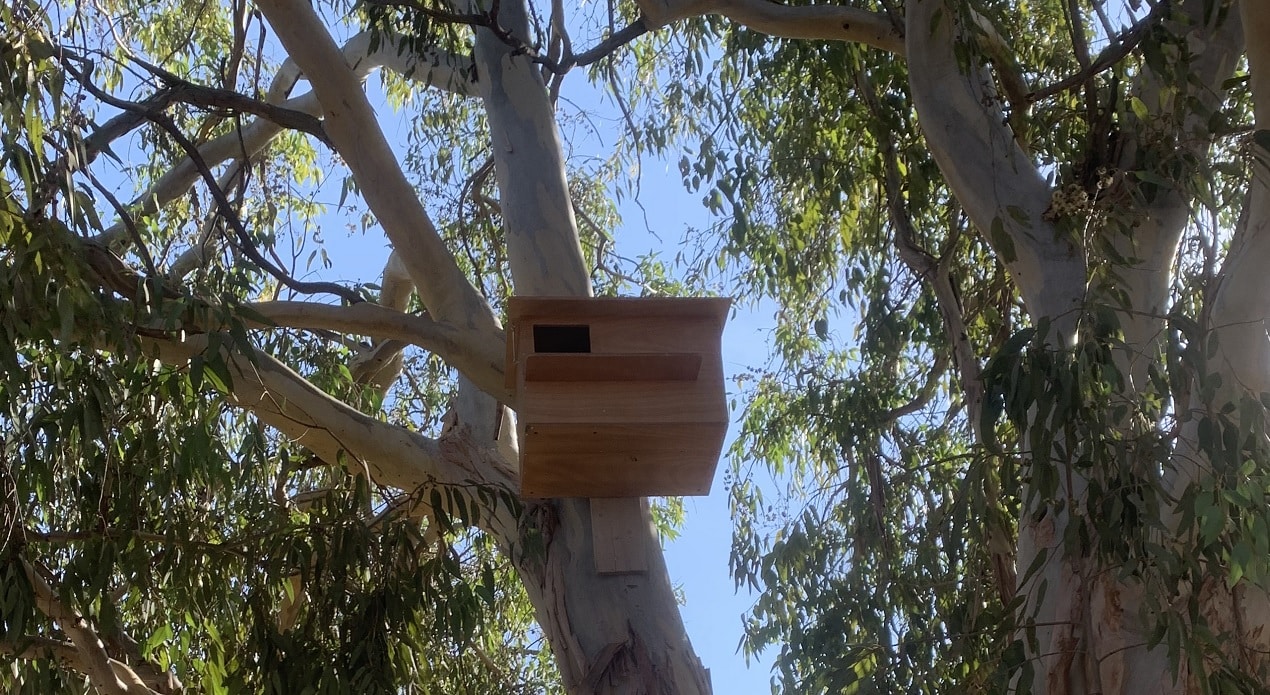 Artificial nests placed to promote pest control