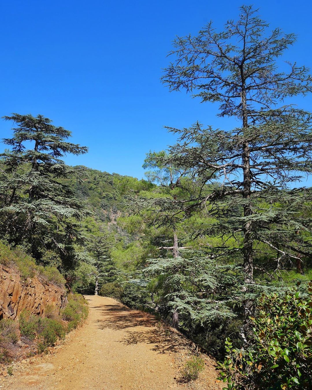 Audit Office slams inaction over illegal livestock farms