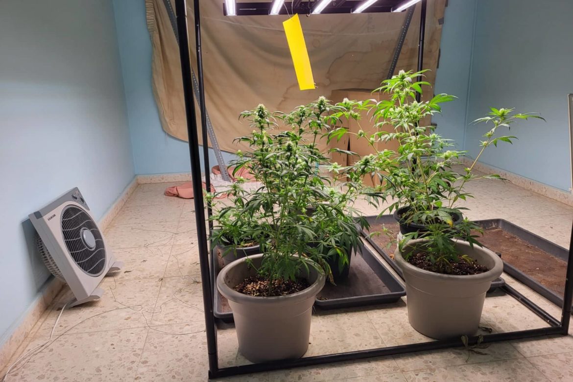 Cannabis and cocaine haul in Larnaca