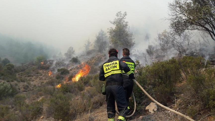 Fire in a difficult area in Limassol – The Fire Brigade and Forestry Department mobilized