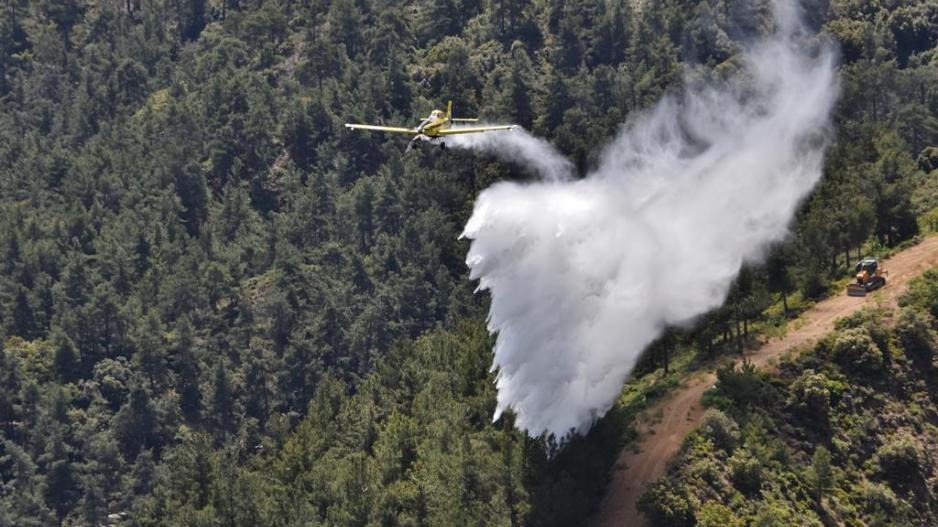 Forestry department on full alert from April due to weather