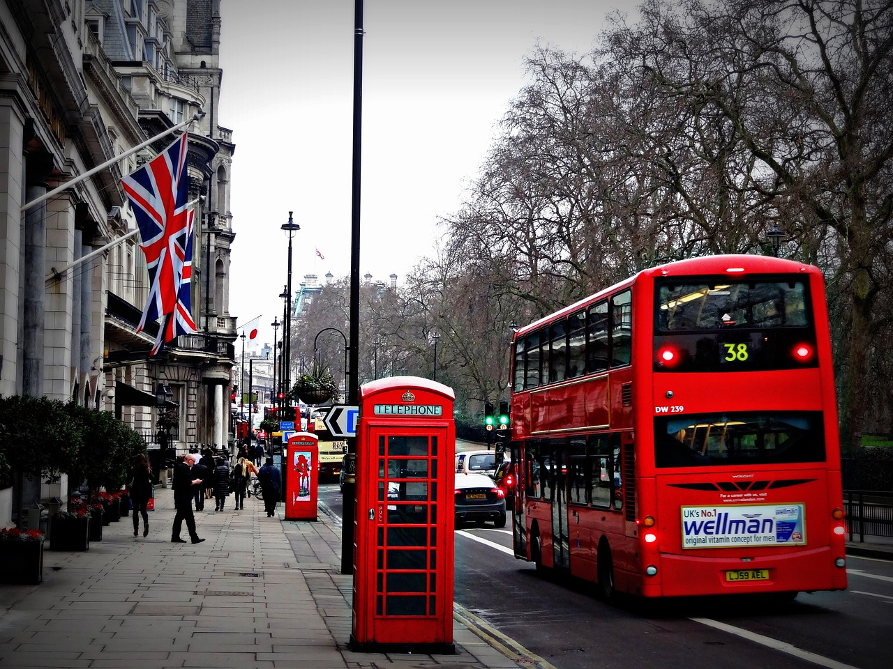 Horses run amok in central London