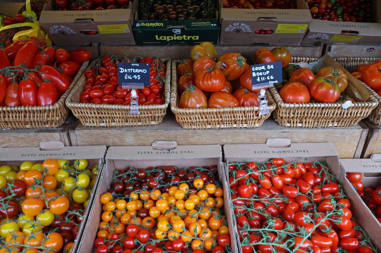 New Brexit border checks could stifle fine food imports from EU, warn sellers
