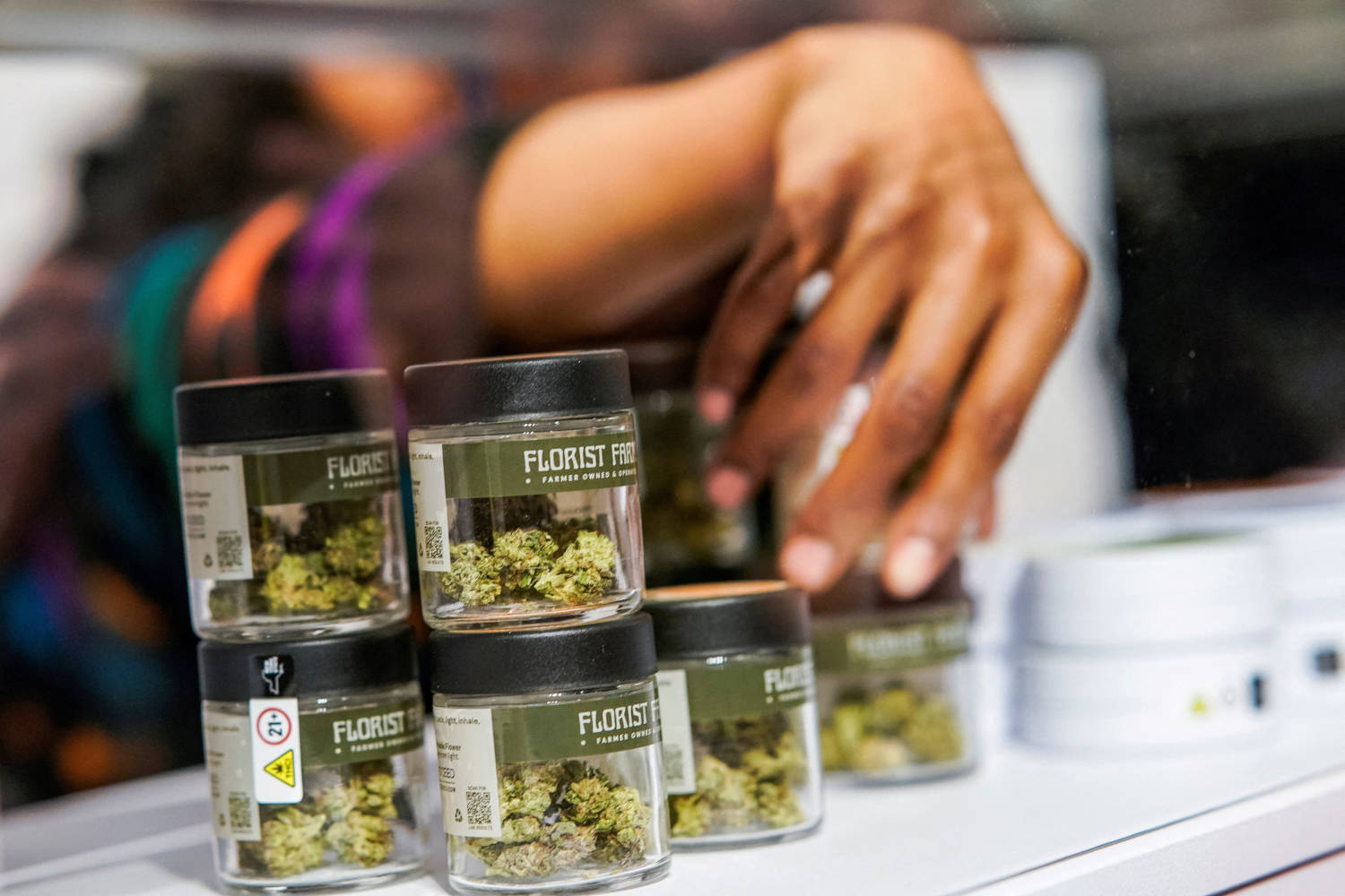 Police arrest international gang in $686 mln medicinal cannabis scam