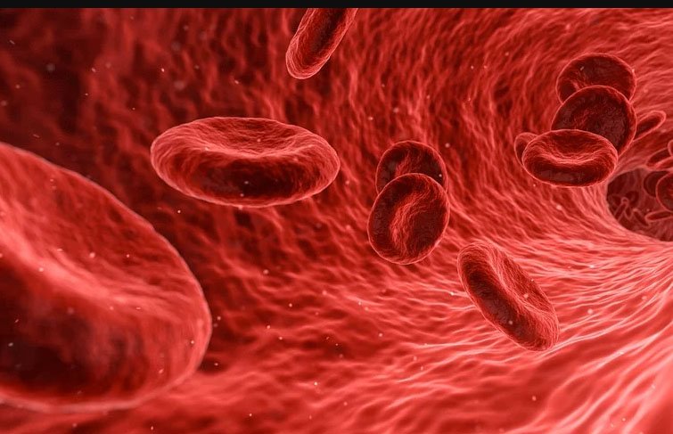 Buildings across Cyprus to glow red for World Thalassaemia Day