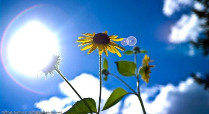 Cyprus: Mainly fine day; temperature inland 32 C