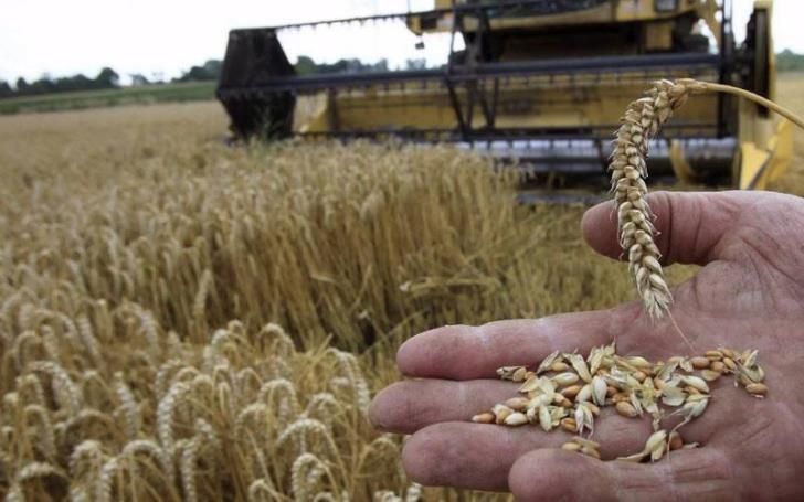 Greece to bring in Egyptian farm workers amid labour shortage