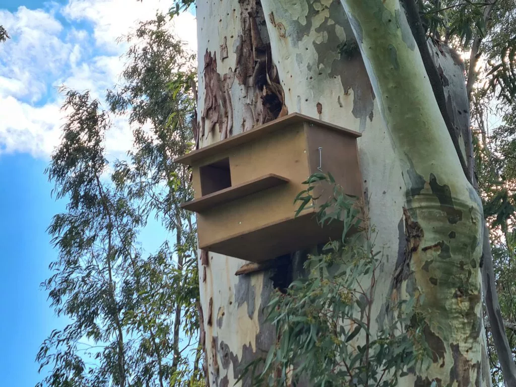 Ministry implements program for biological control of rodents