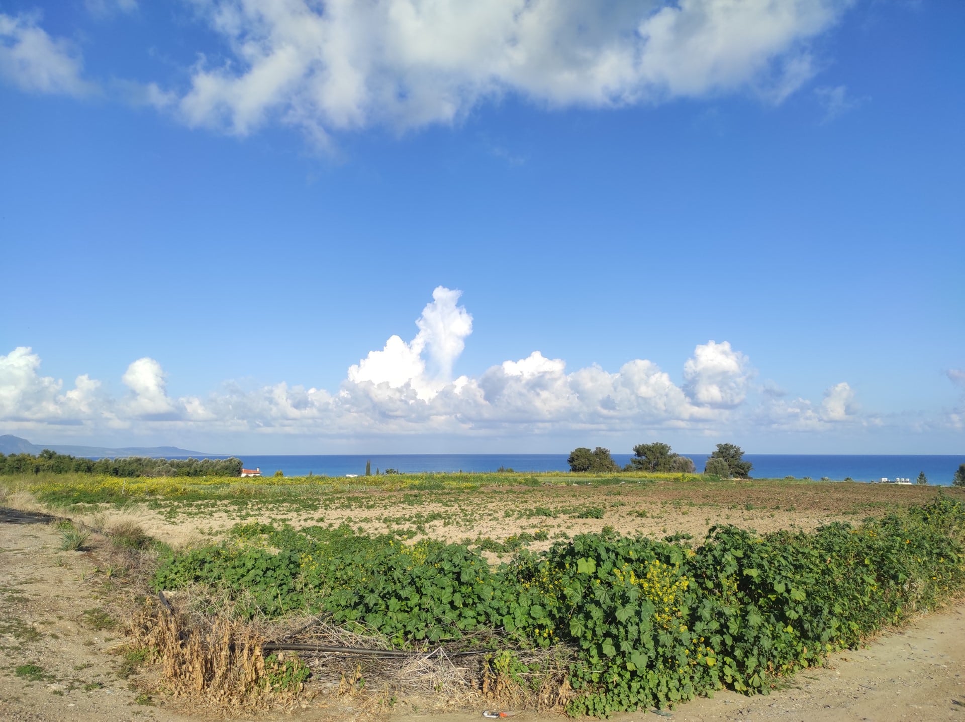 Weather on Thursday mainly fine