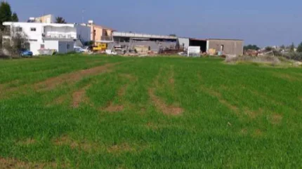 THEMIS: Unique land opportunities with reserve prices up to , €24,000 via electronic auction