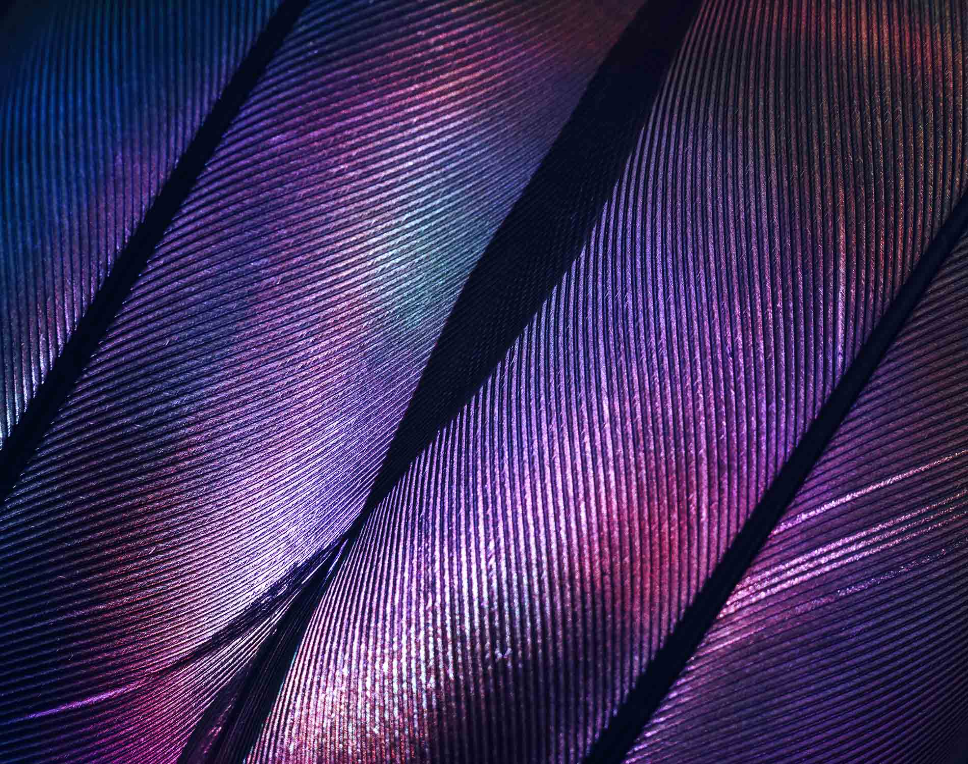 Corporate Taxation in Ukraine: What do you need to know?